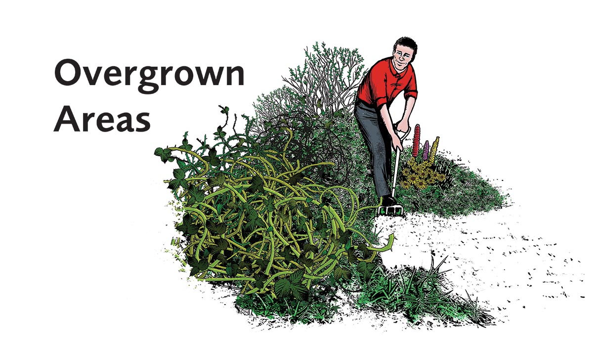 Overgrown Areas